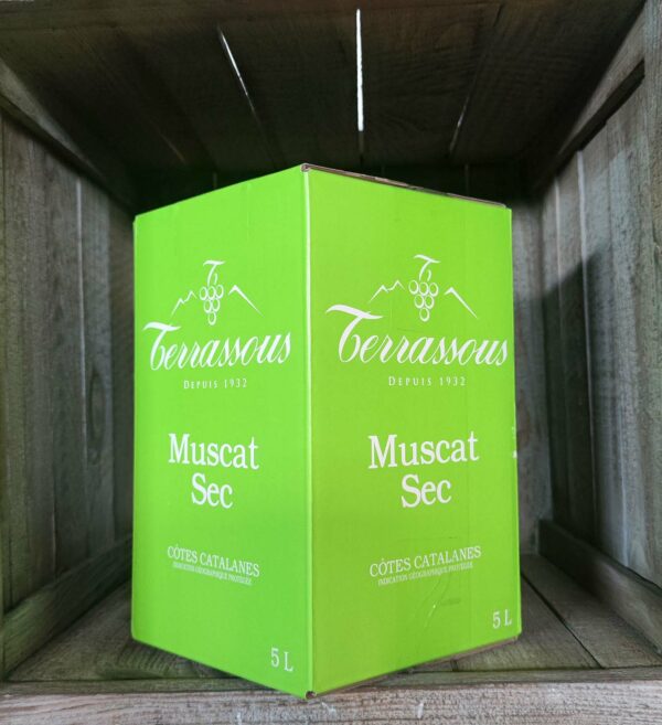 Terrassous <BR>Muscat Sec <BR>BIB 5L blanc