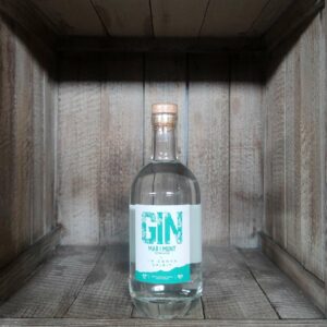 Gin <BR>La Canya <BR>Mar i Munt