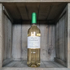 Domaine de Caladroy <BR>Terroir de Schistes <BR>Blanc